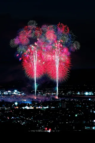 夜空を染める光の森