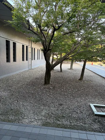 木と壁の静かなリズム
