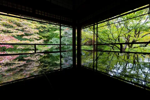 静寂の映し絵、緑に抱かれる