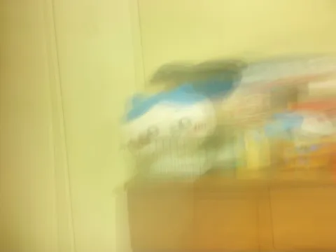 ぼかしの向こうの、愛らしき相棒