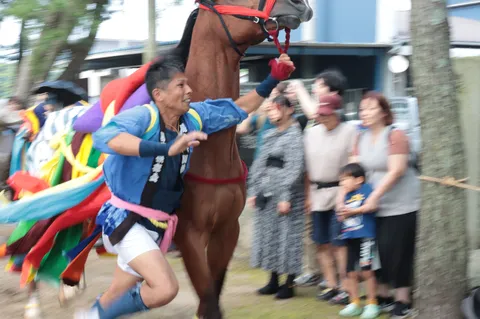 彩りの馬と走る風景
