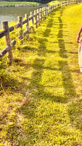 木漏れ日と夏の小道