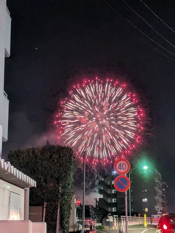 都会に咲いた夜空の華