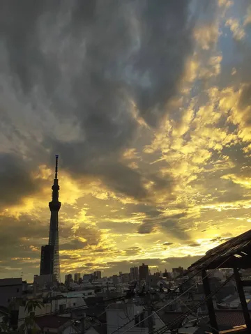 黄金に染まる都会の空