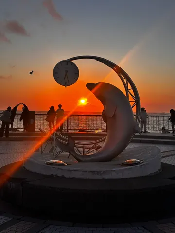 夕焼けと時を刻むイルカ