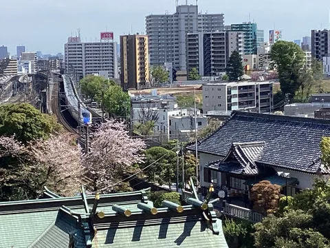 春の赤羽