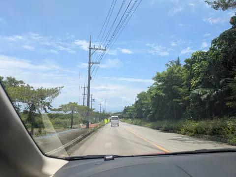 電線と緑に囲まれた道