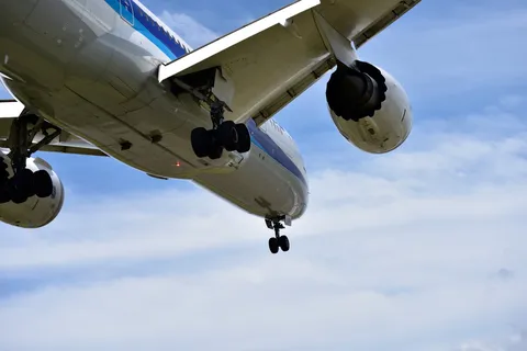 空へと向かう巨大な翼