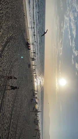夕暮れビーチ、鳥と海と人々と