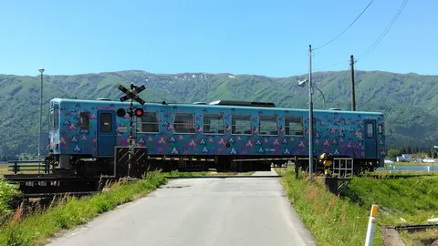 花畑を駆ける、青い夢列車の物語