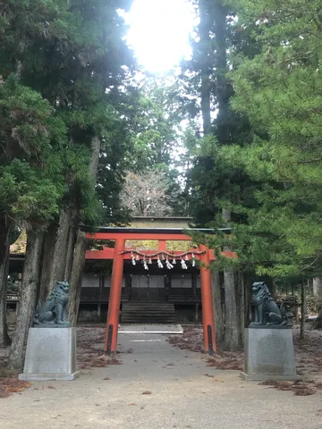 狛犬と鳥居、静寂の参道