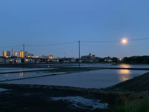 田園に映る月夜の街灯り