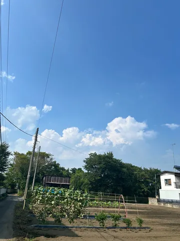 夏空と畑のコントラスト