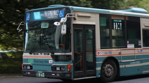 緑の中を駆け抜ける、レトロなバス