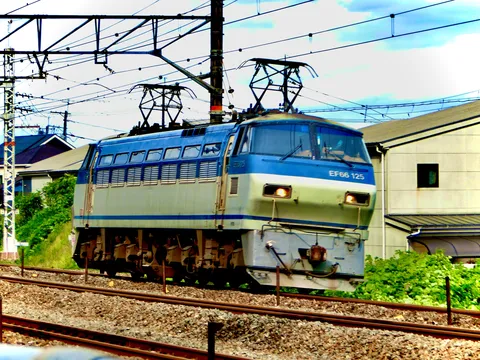 青と白の疾走