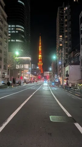 夜の都会、タワーを望む道