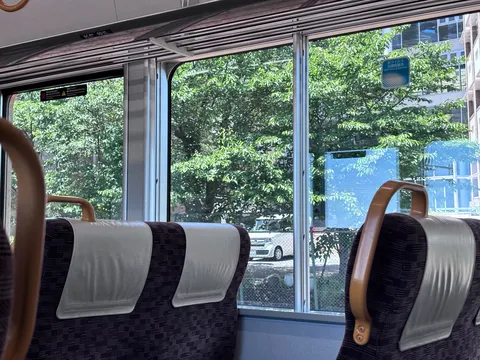 車窓を彩る緑の風景