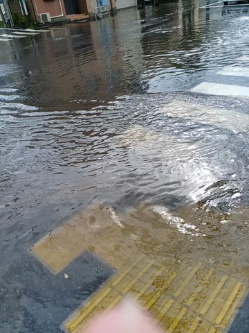 雨水と点字ブロックのコントラスト