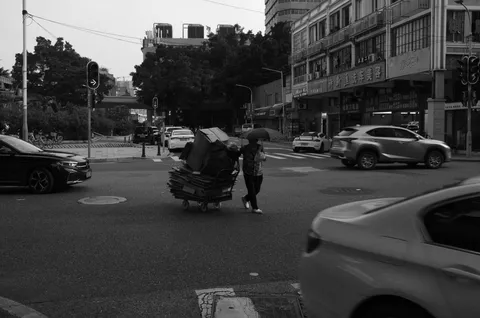 雨の中の静かな日常