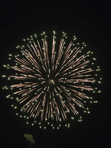 夜空を彩る光の花束
