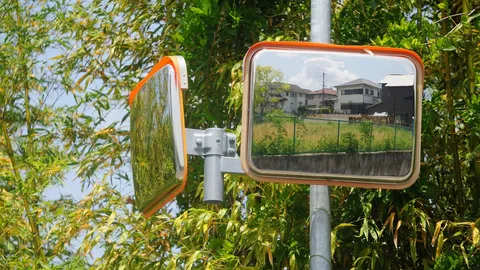 二つの視界、映る世界