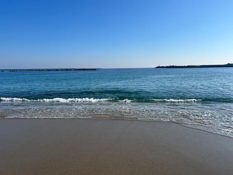 青い空と海が広がる岸辺