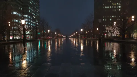 雨上がりの都会、光の道