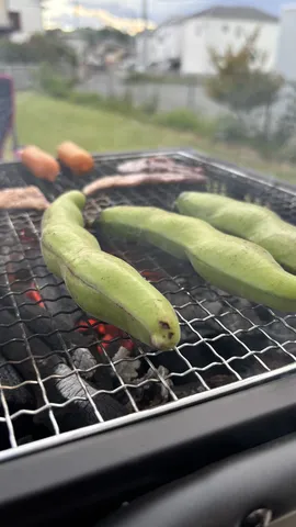 炭火焼きのそら豆が主役