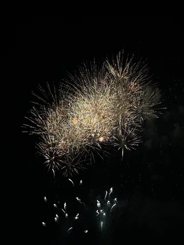 夜空に咲く光の花束