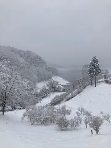 雪景の静かな流れ