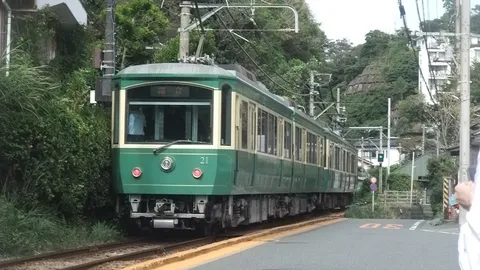 緑の車体と山の風景