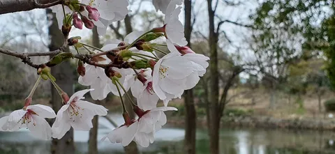 白いドレスの密談