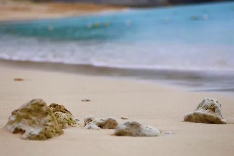 砂浜の静かな石たち