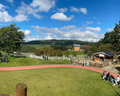 青空と白い柵の牧場風景