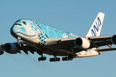 空飛ぶウミガメ、ANAの特別塗装機