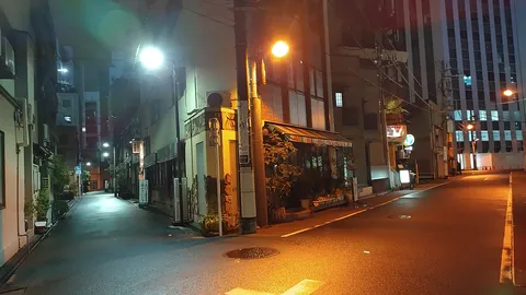 煌めく夜道の情景