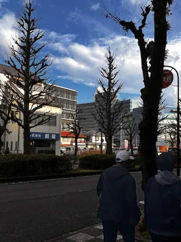 冬空と街路樹、二人の散歩