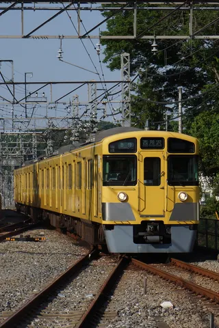 黄色い電車、夏の線路