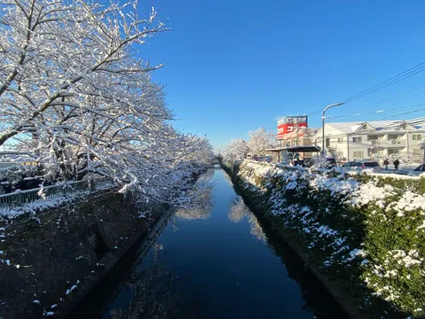 冬の静寂、水面に映る白銀の世界