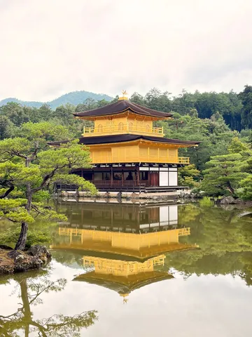 金色の楼閣、水面に再登場