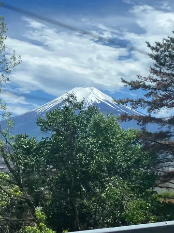 雪山と木々の静かな景色