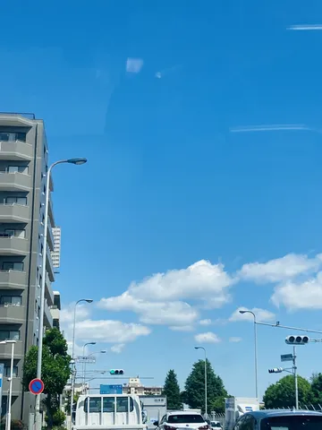 信号青、空も青