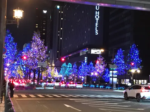 信号待ちもアートな夜