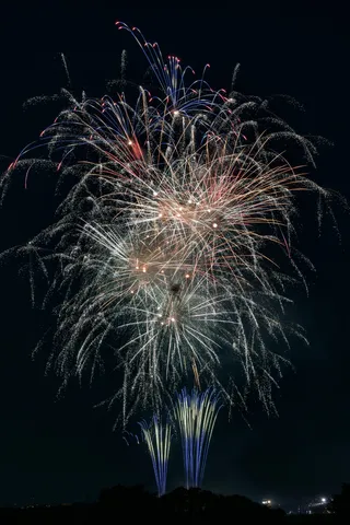 夜空を彩る光の華