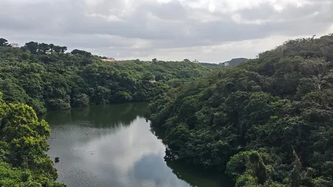 緑深き谷と湖の静寂