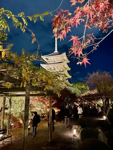 夜空に映える五重塔と紅葉
