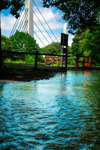 空の下の吊橋と水辺の涼感