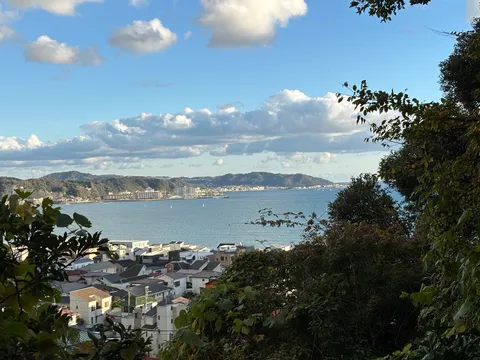 海辺の街並みと木漏れ日