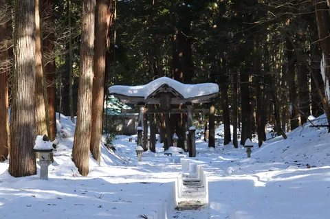 雪化粧の鳥居、静寂の森へ
