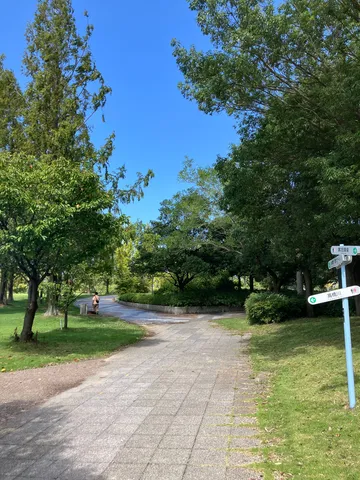 緑陰の静かな散歩道